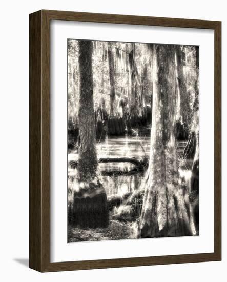 Where the Fairies Play-Christy Ann-Framed Giclee Print