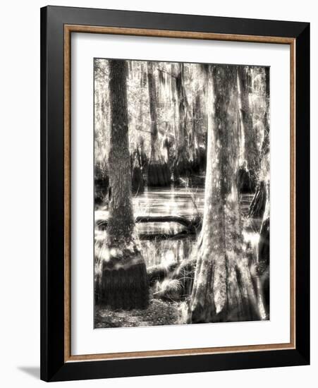 Where the Fairies Play-Christy Ann-Framed Giclee Print