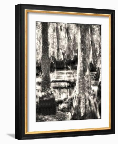 Where the Fairies Play-Christy Ann-Framed Giclee Print