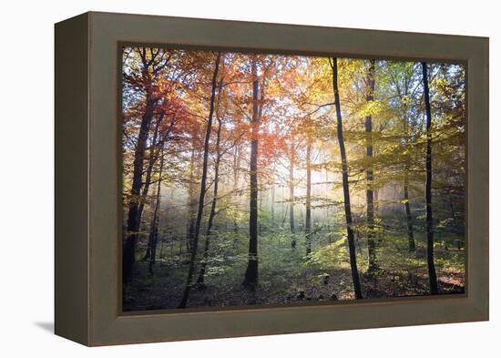 Where the Fairies Roam-Philippe Manguin-Framed Premier Image Canvas