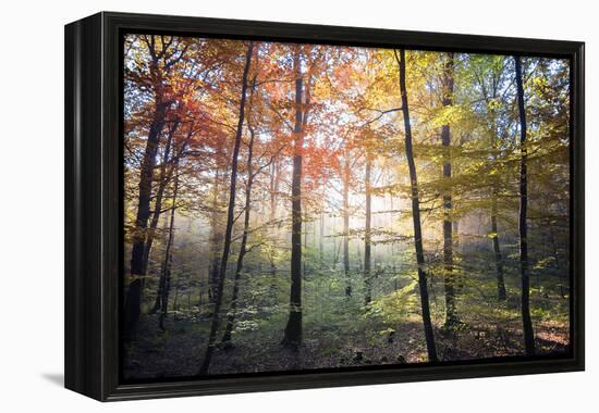 Where the Fairies Roam-Philippe Manguin-Framed Premier Image Canvas