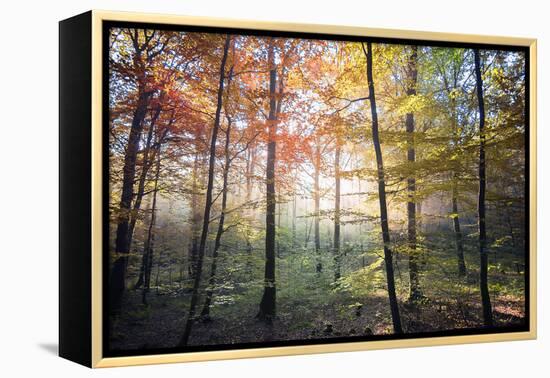 Where the Fairies Roam-Philippe Manguin-Framed Premier Image Canvas