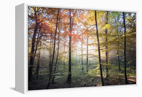 Where the Fairies Roam-Philippe Manguin-Framed Premier Image Canvas