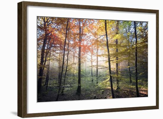 Where the Fairies Roam-Philippe Manguin-Framed Photographic Print