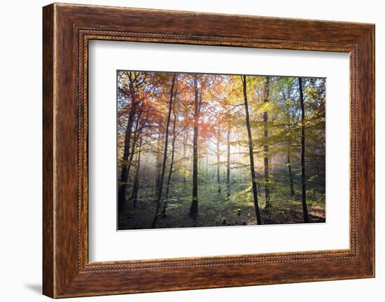 Where the Fairies Roam-Philippe Manguin-Framed Photographic Print