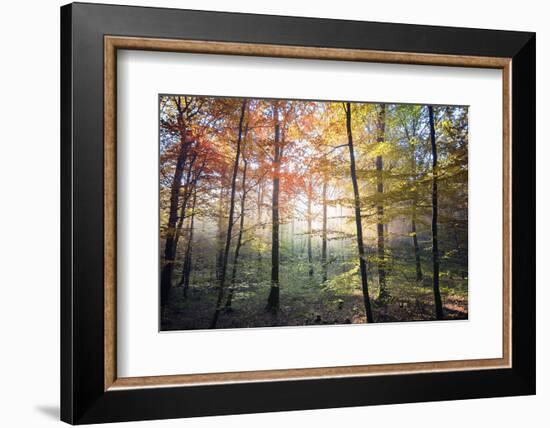 Where the Fairies Roam-Philippe Manguin-Framed Photographic Print