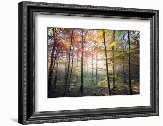 Where the Fairies Roam-Philippe Manguin-Framed Photographic Print