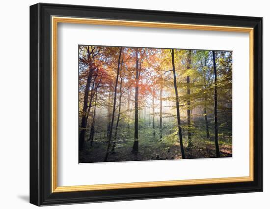 Where the Fairies Roam-Philippe Manguin-Framed Photographic Print