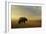 Where the Grizzly Roams-Jai Johnson-Framed Giclee Print