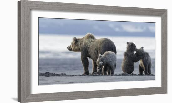 Where Will We Go?-Wink Gaines-Framed Giclee Print