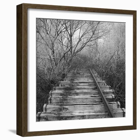 Where-Tomislav Bogovic-Framed Photographic Print