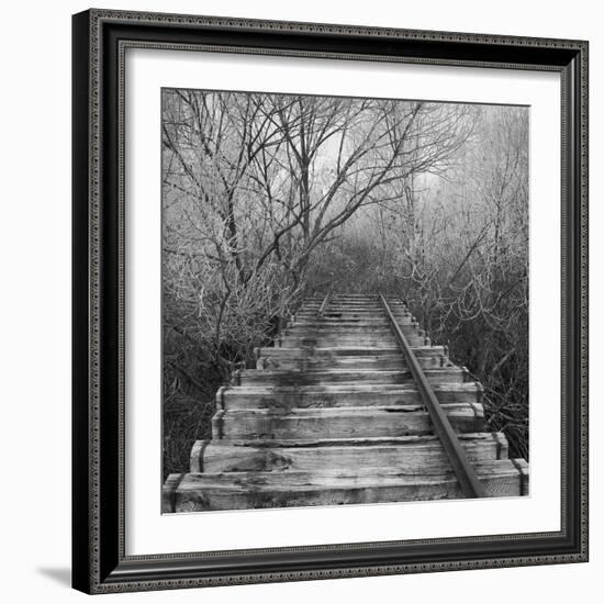 Where-Tomislav Bogovic-Framed Photographic Print