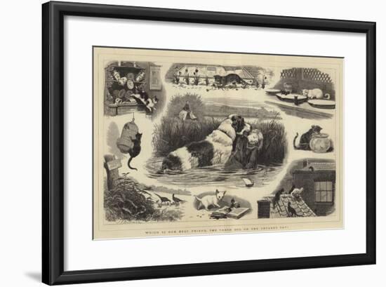 Which Is Our Best Friend, the Taxed Dog or the Untaxed Cat?-John Charles Dollman-Framed Giclee Print