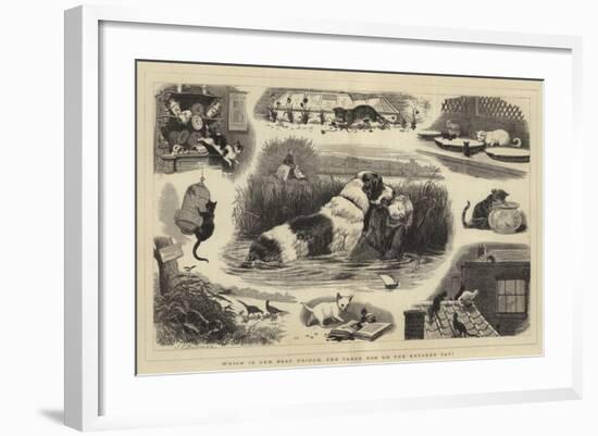 Which Is Our Best Friend, the Taxed Dog or the Untaxed Cat?-John Charles Dollman-Framed Giclee Print
