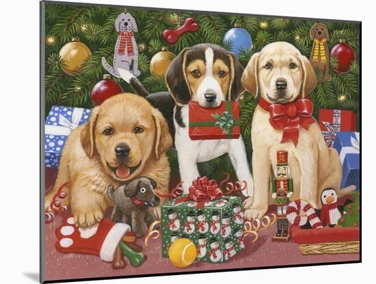 Which One’s Mine? Xmas Puppies-William Vanderdasson-Mounted Giclee Print