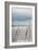 Whidbey Grass III-Erin Berzel-Framed Photographic Print