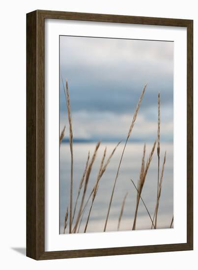 Whidbey Grass III-Erin Berzel-Framed Photographic Print