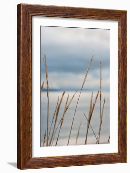 Whidbey Grass III-Erin Berzel-Framed Photographic Print