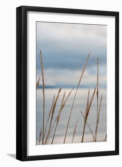 Whidbey Grass III-Erin Berzel-Framed Photographic Print