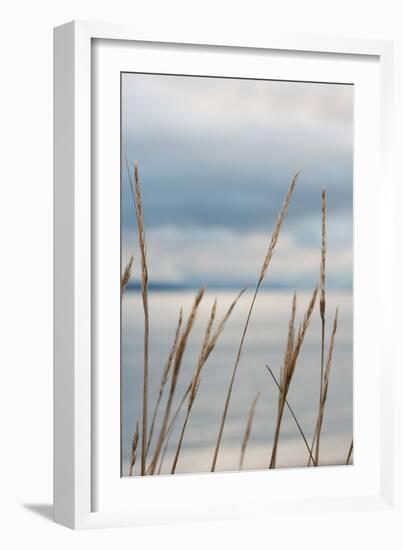 Whidbey Grass III-Erin Berzel-Framed Photographic Print