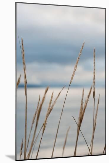 Whidbey Grass III-Erin Berzel-Mounted Photographic Print