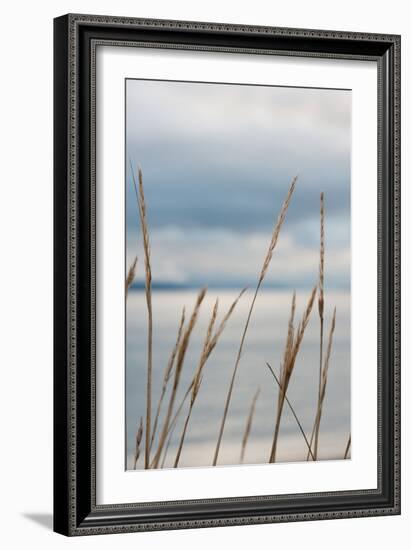 Whidbey Grass III-Erin Berzel-Framed Photographic Print