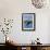 Whidbey Island, Washington - Eagle Fishing-Lantern Press-Framed Art Print displayed on a wall