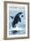 Whidbey Island, Washington - Orca Jumping-Lantern Press-Framed Art Print