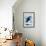 Whidbey Island, Washington - Orca Jumping-Lantern Press-Framed Art Print displayed on a wall