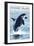 Whidbey Island, Washington - Orca Jumping-Lantern Press-Framed Art Print