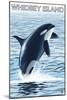 Whidbey Island, Washington - Orca Jumping-Lantern Press-Mounted Art Print