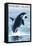 Whidbey Island, Washington - Orca Jumping-Lantern Press-Framed Stretched Canvas