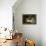 While Masters Away-Henriette Ronner-Knip-Framed Premier Image Canvas displayed on a wall