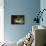 While Masters Away-Henriette Ronner-Knip-Framed Premier Image Canvas displayed on a wall