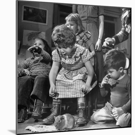 While Playing with a Pet Guinea Pig, Ellen Itzkowitz is Learning About Animals-Ralph Morse-Mounted Photographic Print