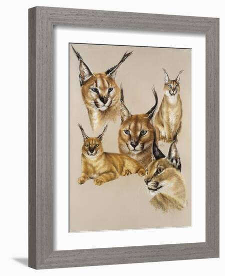 Whimsey-Barbara Keith-Framed Giclee Print