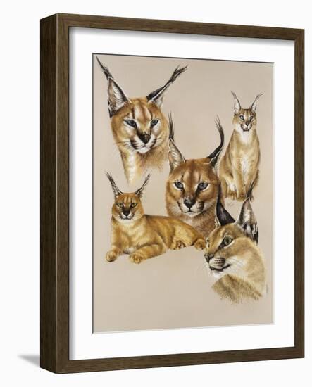 Whimsey-Barbara Keith-Framed Giclee Print