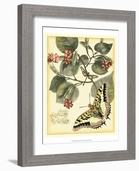 Whimsical Butterflies I-Vision Studio-Framed Art Print