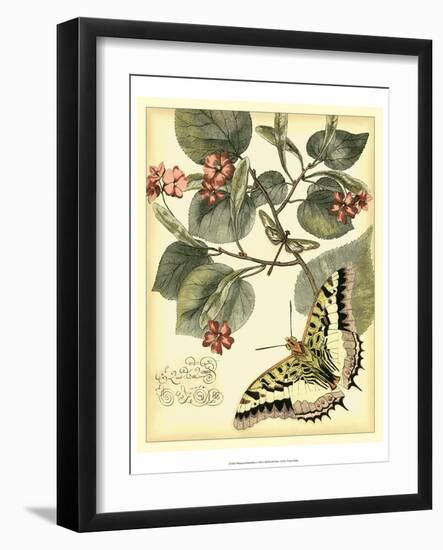 Whimsical Butterflies I-Vision Studio-Framed Art Print