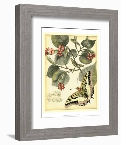 Whimsical Butterflies I-Vision Studio-Framed Art Print