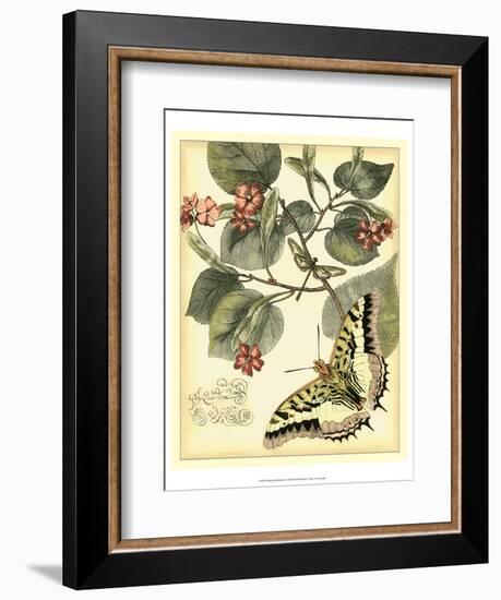 Whimsical Butterflies I-Vision Studio-Framed Art Print