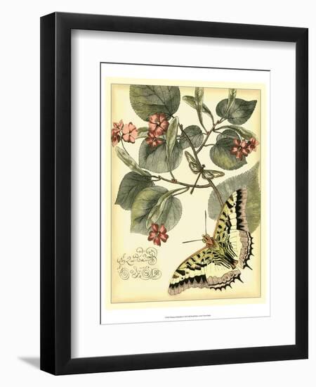 Whimsical Butterflies I-Vision Studio-Framed Art Print