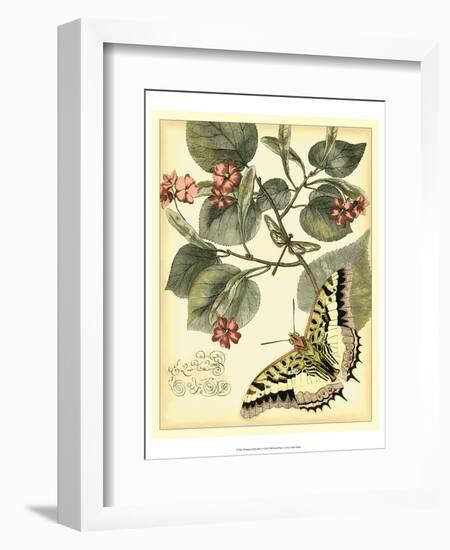 Whimsical Butterflies I-Vision Studio-Framed Art Print