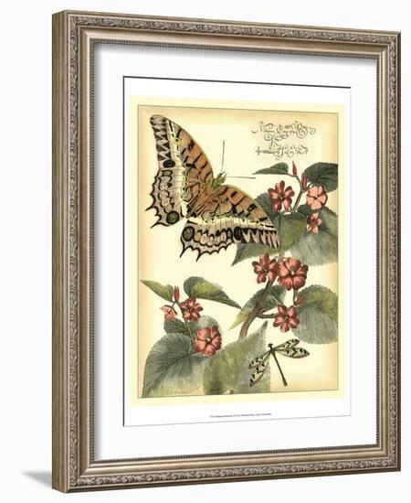 Whimsical Butterflies II-Vision Studio-Framed Art Print