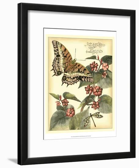 Whimsical Butterflies II-Vision Studio-Framed Art Print