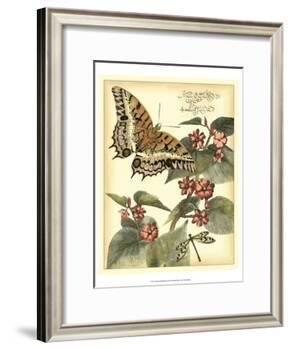 Whimsical Butterflies II-Vision Studio-Framed Art Print