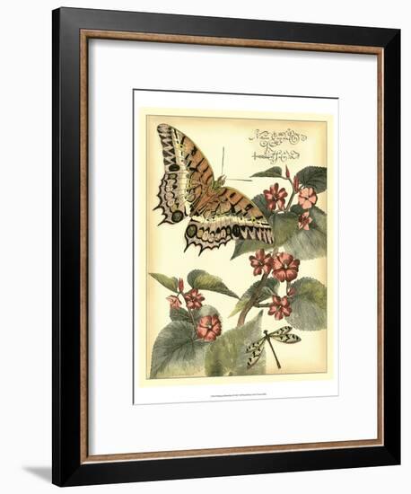 Whimsical Butterflies II-Vision Studio-Framed Art Print