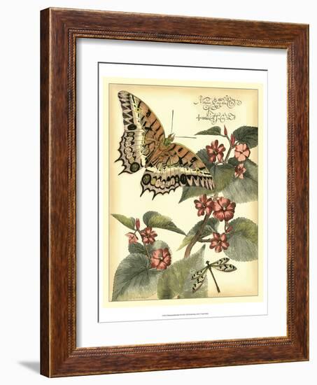 Whimsical Butterflies II-Vision Studio-Framed Art Print