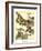 Whimsical Butterflies II-Vision Studio-Framed Art Print