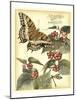 Whimsical Butterflies II-Vision Studio-Mounted Art Print